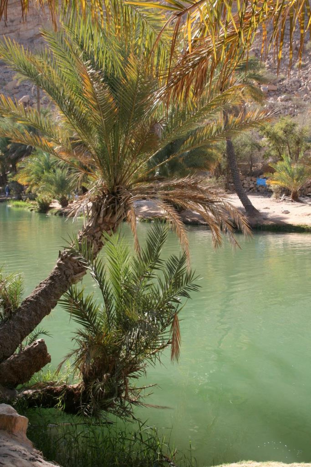 After the too-short trip to the dunes, we went to Wadi Bani Khalid.